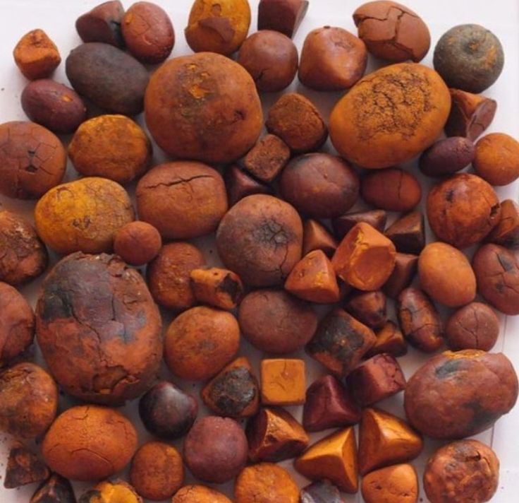 Ox Gallstones Export from Nigeria