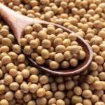 Soya Beans Export from Nigeria