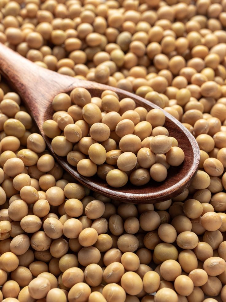 Soya Beans Export from Nigeria