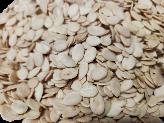 Egusi (Melon Seed) Export from Nigeria